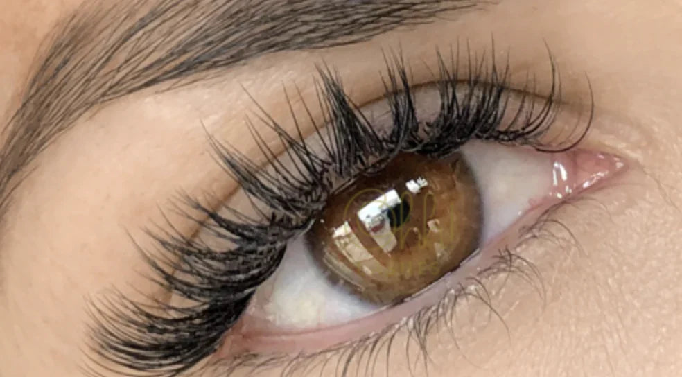 Two Reasons to Choose Eyelash Extensions to Address All Your Concerns