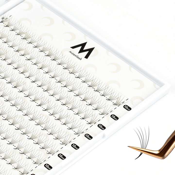 5D Premade Volume Fans Eyelash Extensions 500 Fans 25 Rows